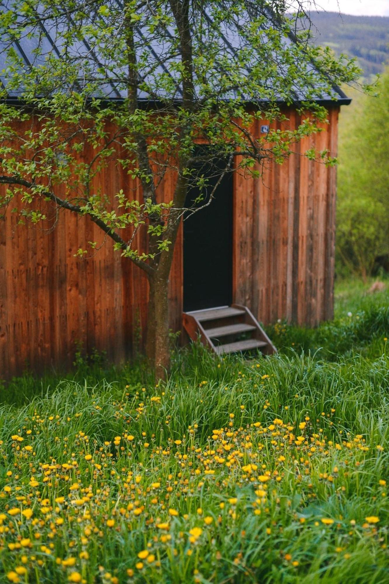 Tri Domky - Tiny Houses Depoltice Extérieur photo
